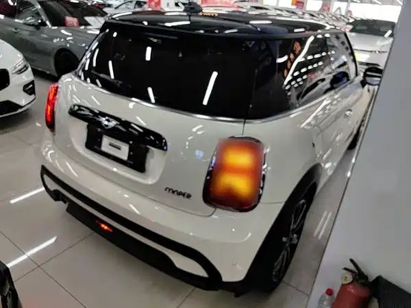 MINI 2021