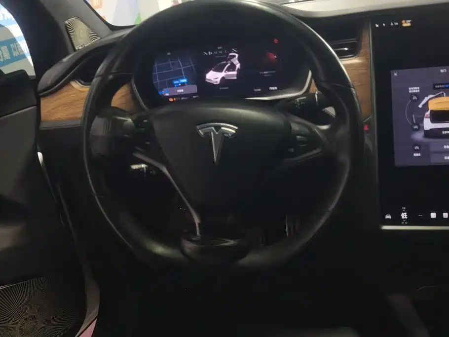 Tesla Model X 2020 — фото 15