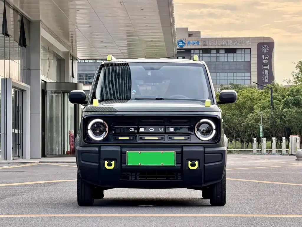 Geely Galaxy Panda 2024
