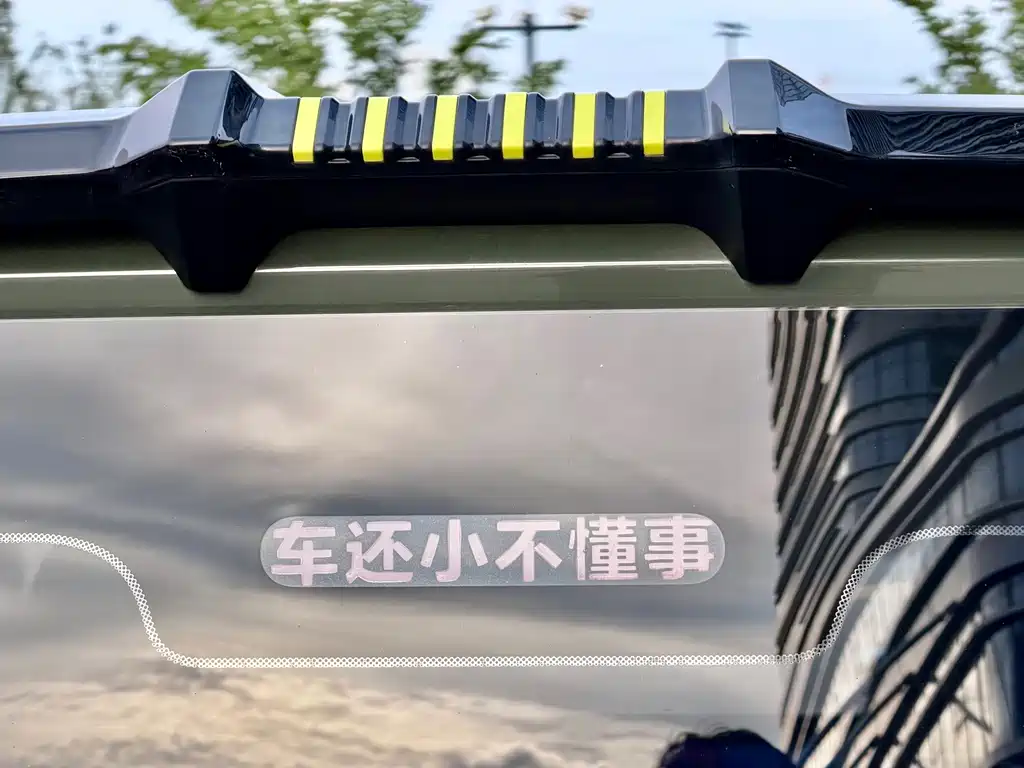 Geely Galaxy Panda 2024 — фото 15
