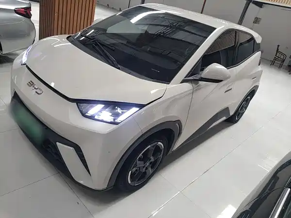BYD Seagull 2024