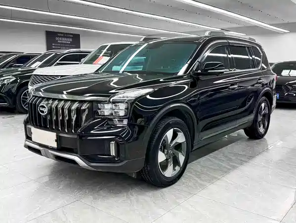 GAC Trumpchi GS8 2021