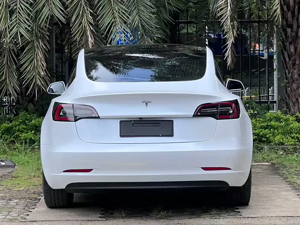 Tesla Model 3 2019