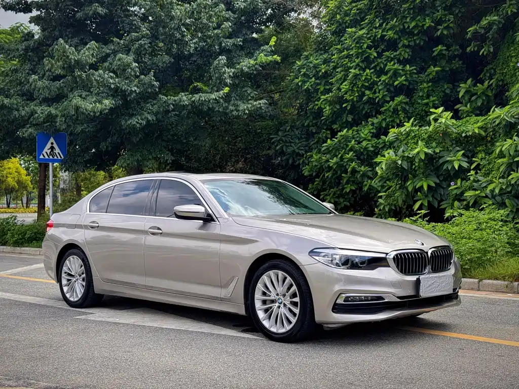 BMW 5 Series 2019