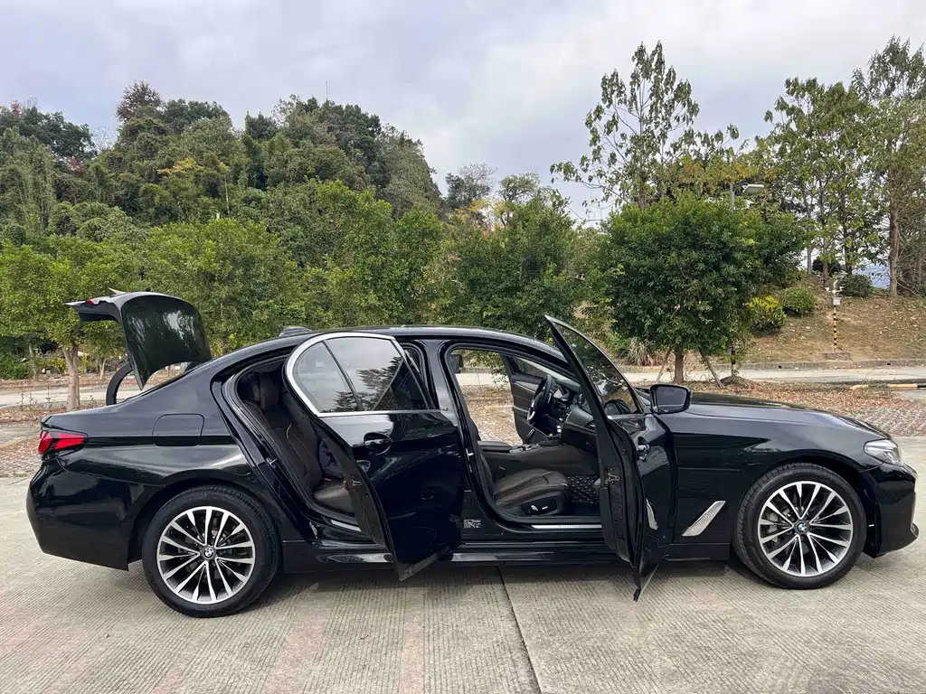 BMW 5 Series 2019 — фото 23