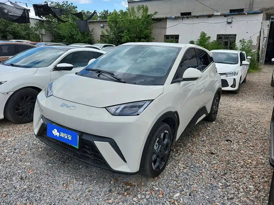 BYD Seagull 2024