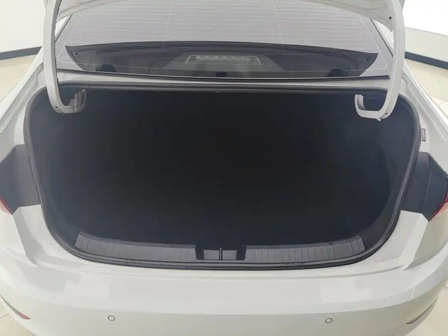Volkswagen Sagitar 2020