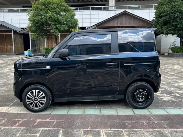 Geely Galaxy Panda 2024