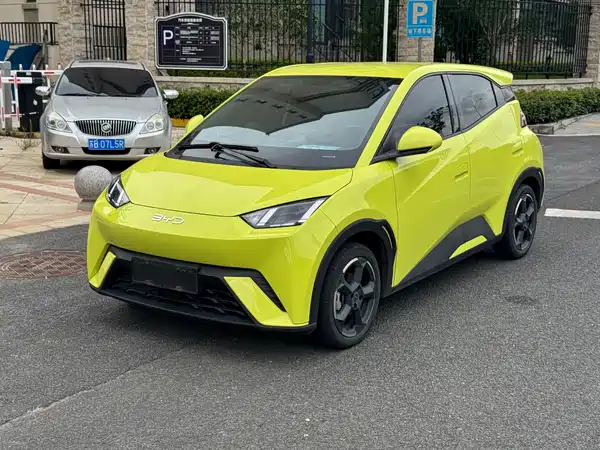 BYD Seagull 2024
