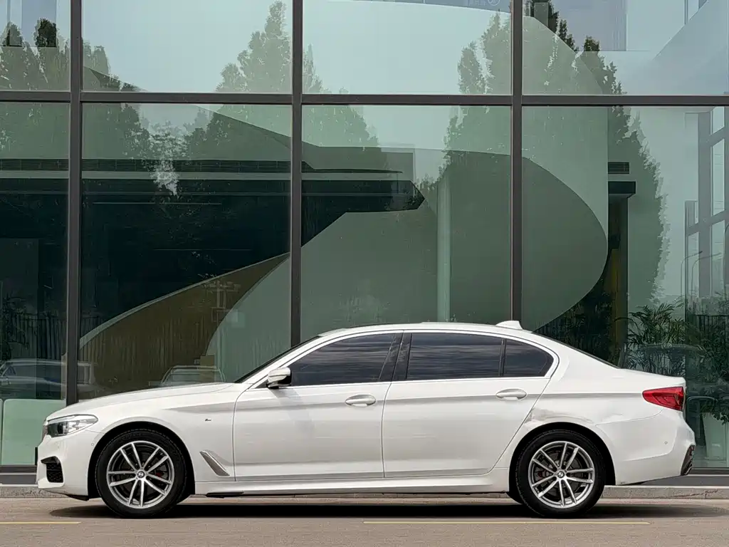 BMW 5 Series 2019