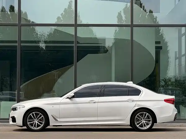 BMW 5 Series 2019