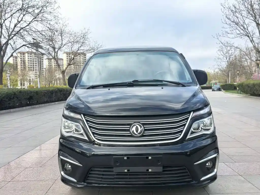 Dongfeng Lingzhi 2019