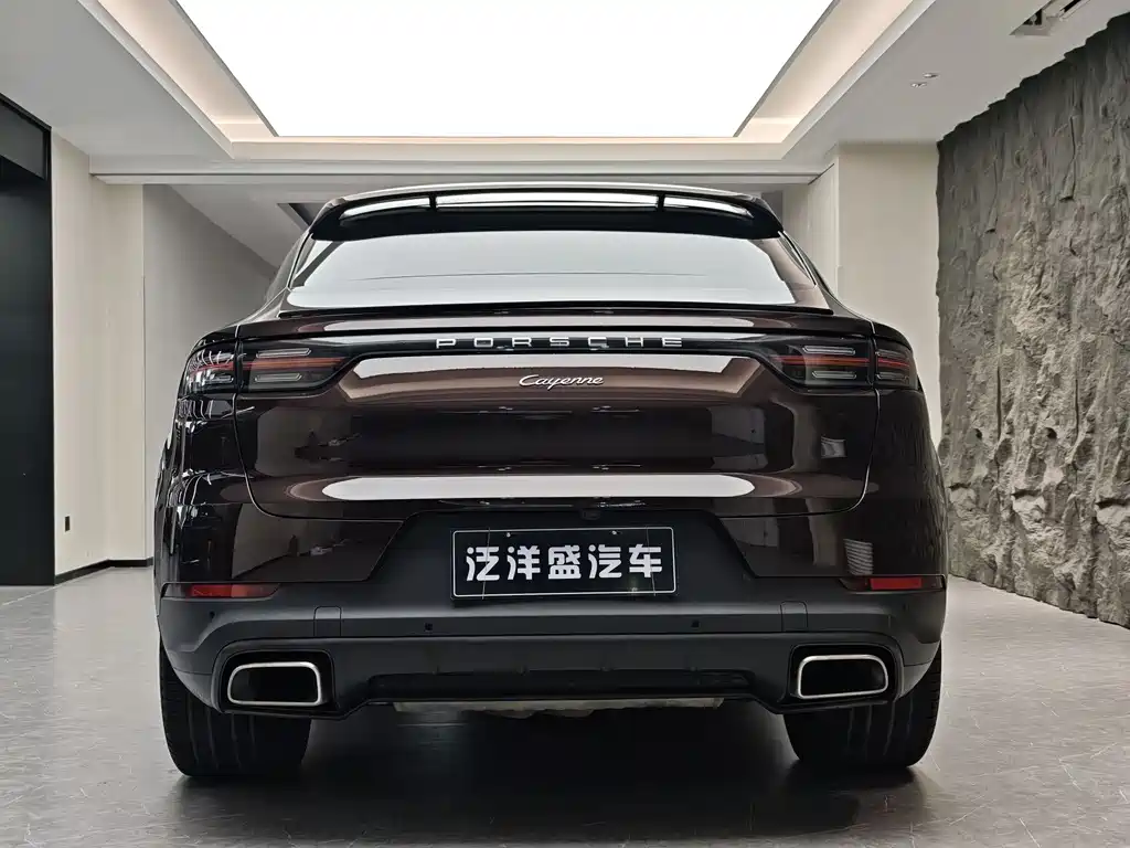 Porsche Cayenne 2019 — фото 18