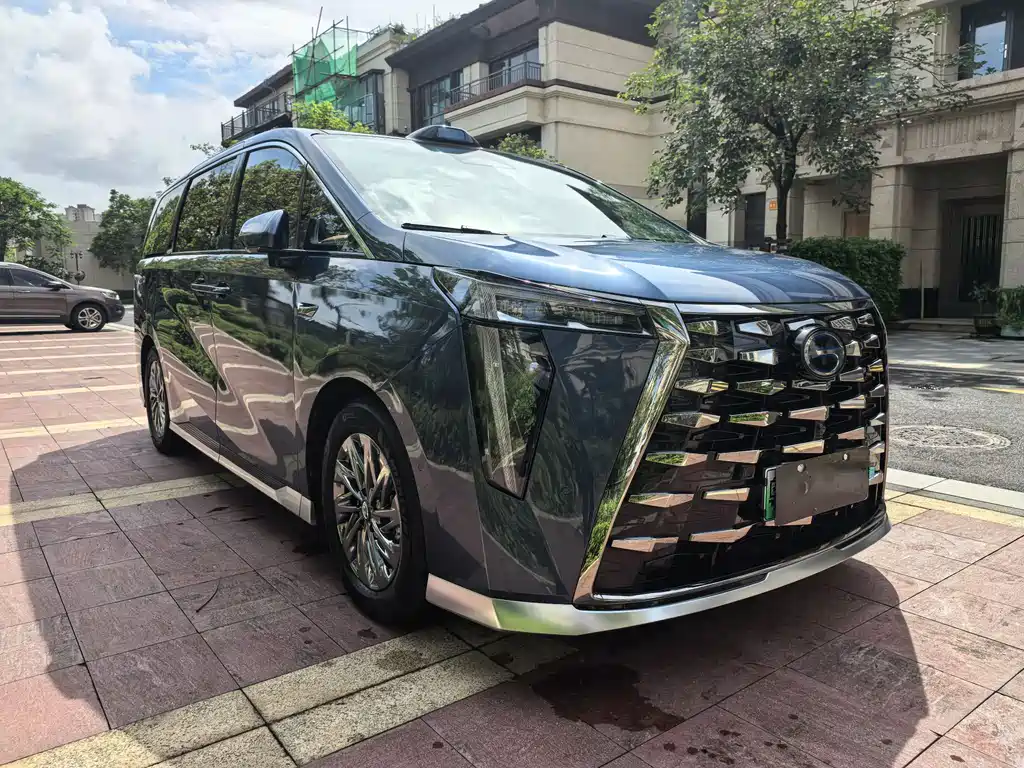GAC Motor Xiangwang M8 2025 — фото 14