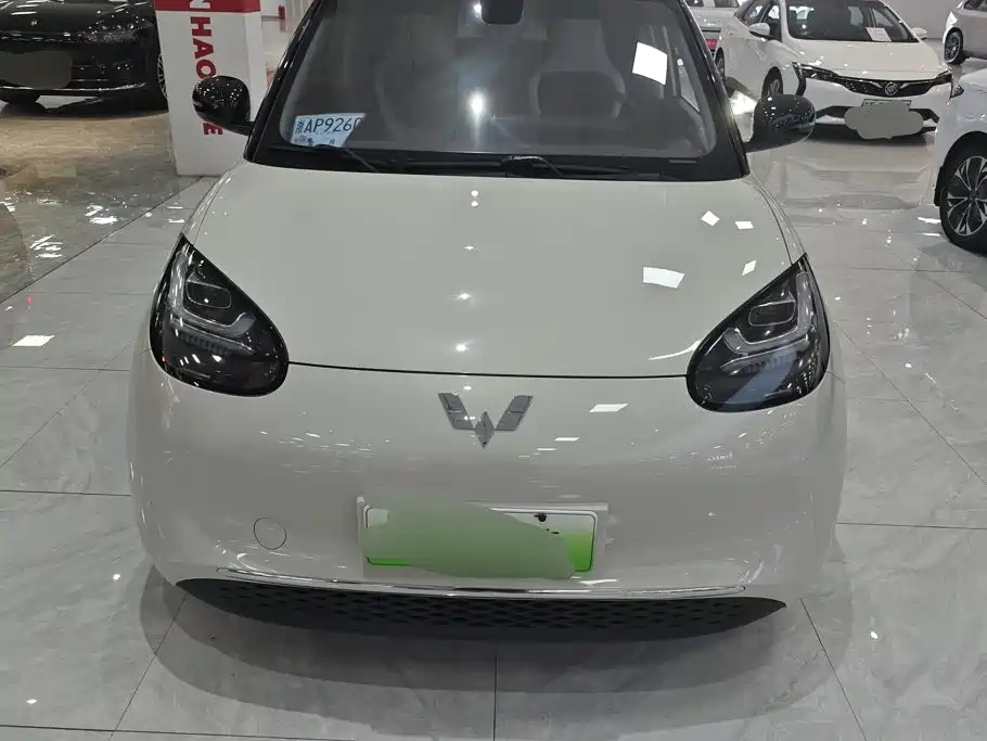 Wuling Bingo 2024