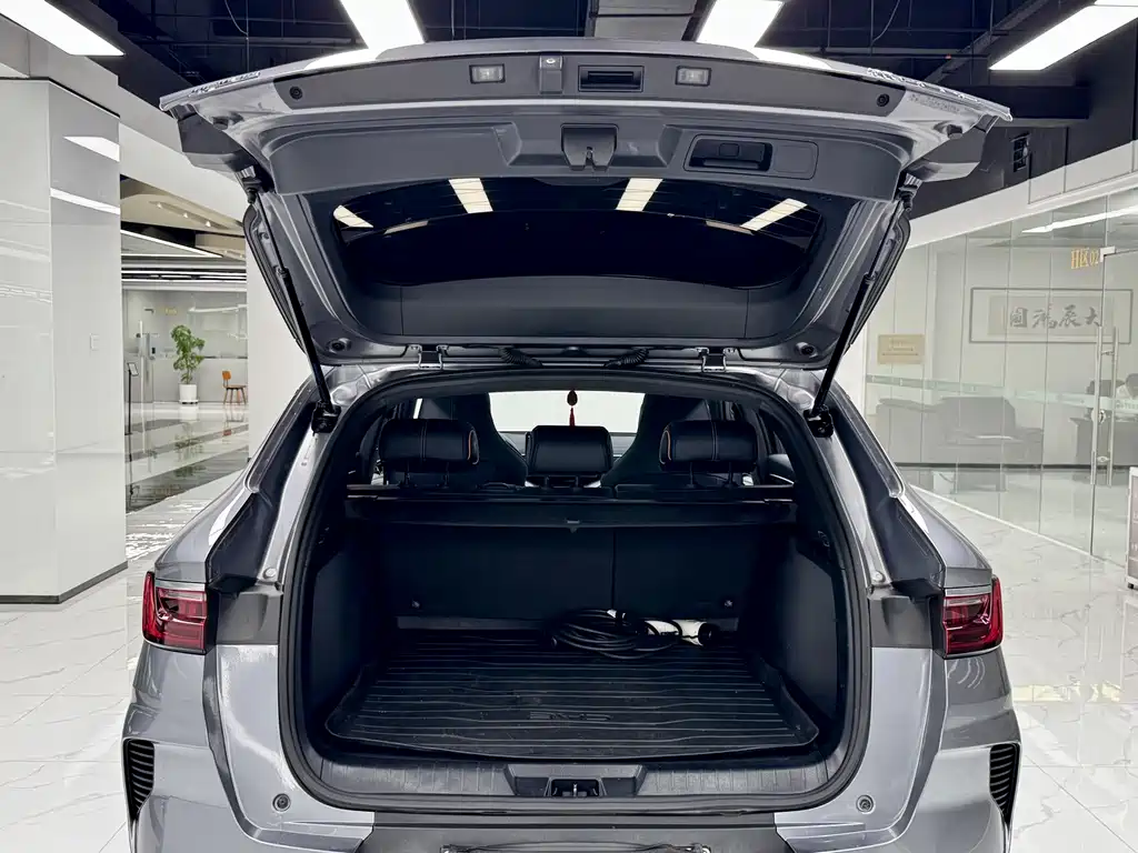 BYD PLUS New Energy 2023 — фото 19