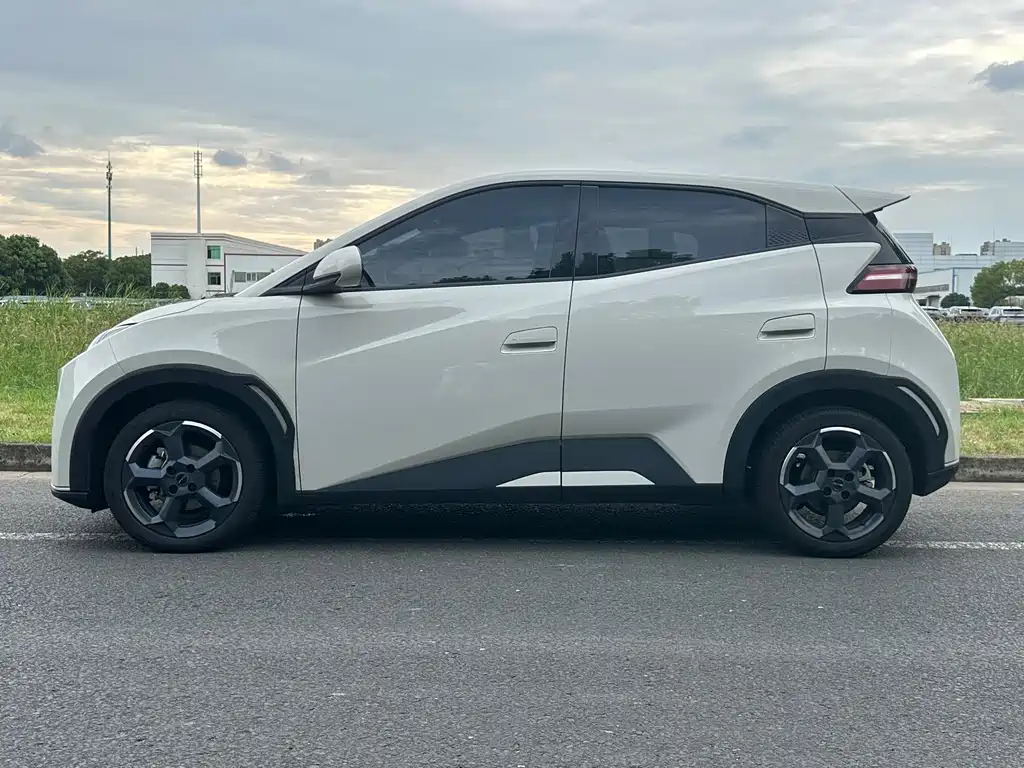 BYD Seagull 2024