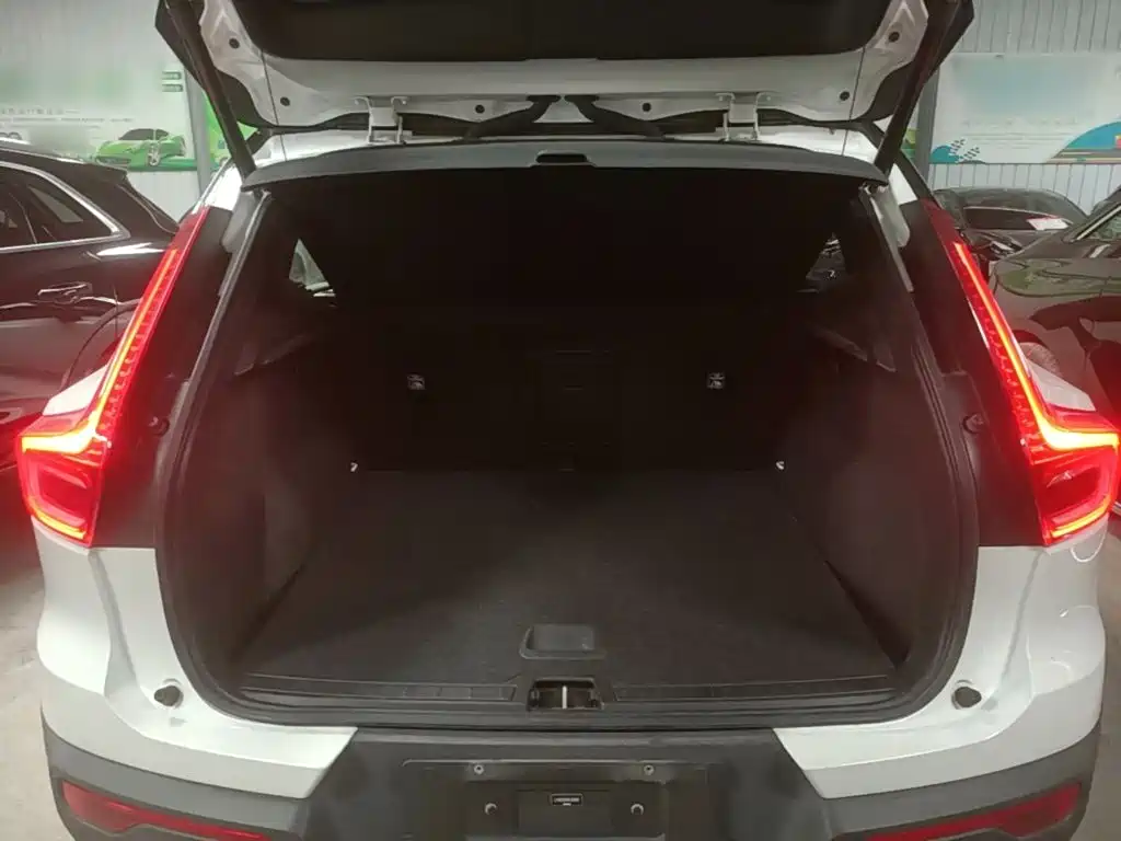 Volvo XC40 New Energy 2021 — фото 19