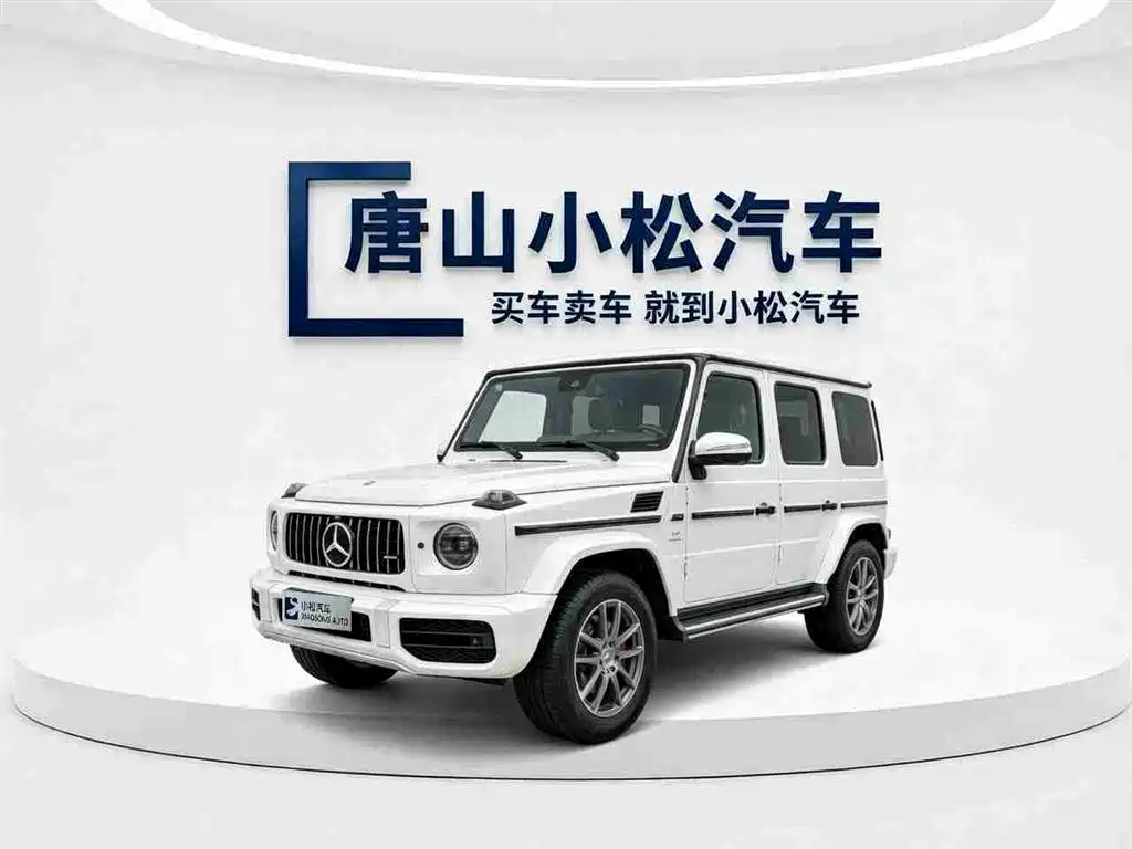 Mercedes-Benz G-Class 2016 — фото 1