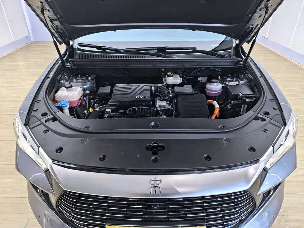 BYD Pro New Energy 2024 — фото 19