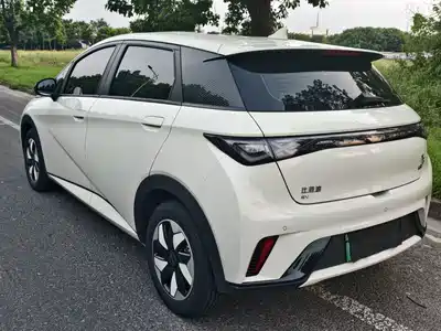 BYD Dolphin 2025