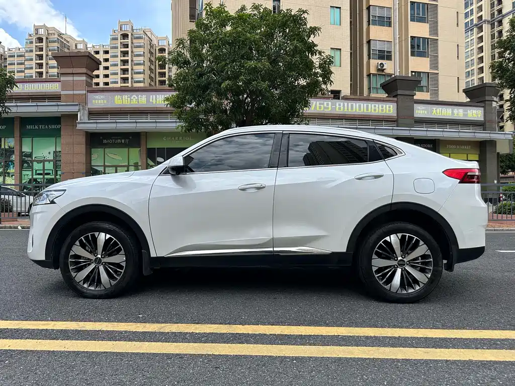Haval F7x 2021 — фото 5