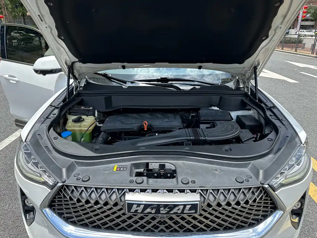 Haval F7x 2021 — фото 17