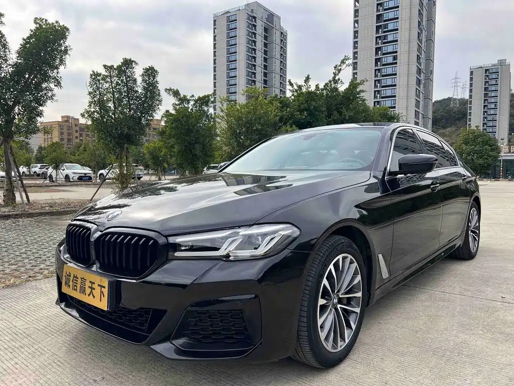 BMW 5 Series 2019