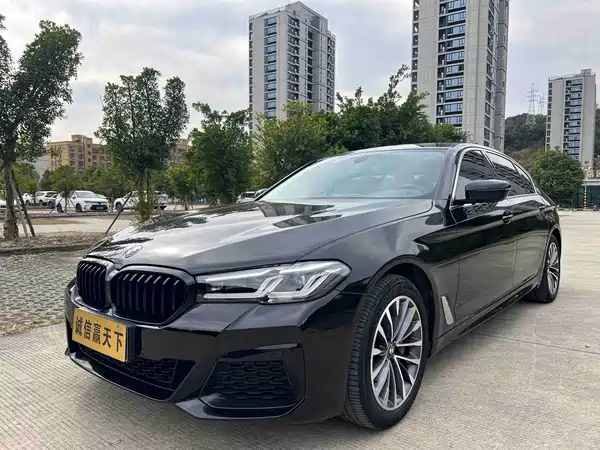 BMW 5 Series 2019