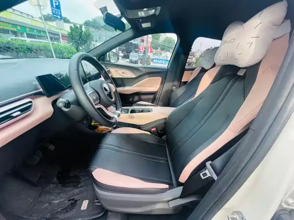 BYD Seagull 2024
