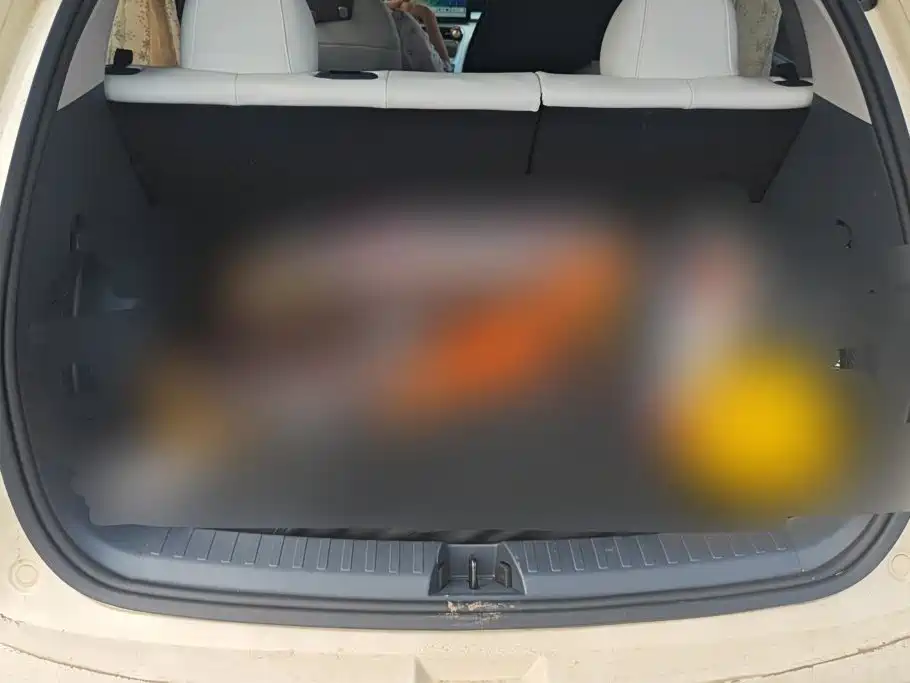 Geely Galaxy Starwish 2026