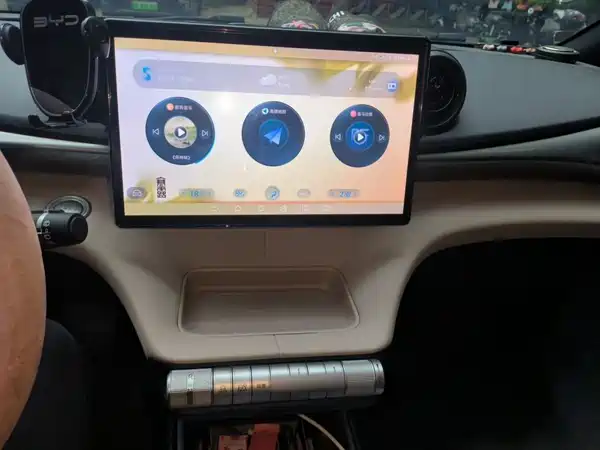 BYD Dolphin 2024