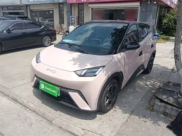 BYD Seagull 2024