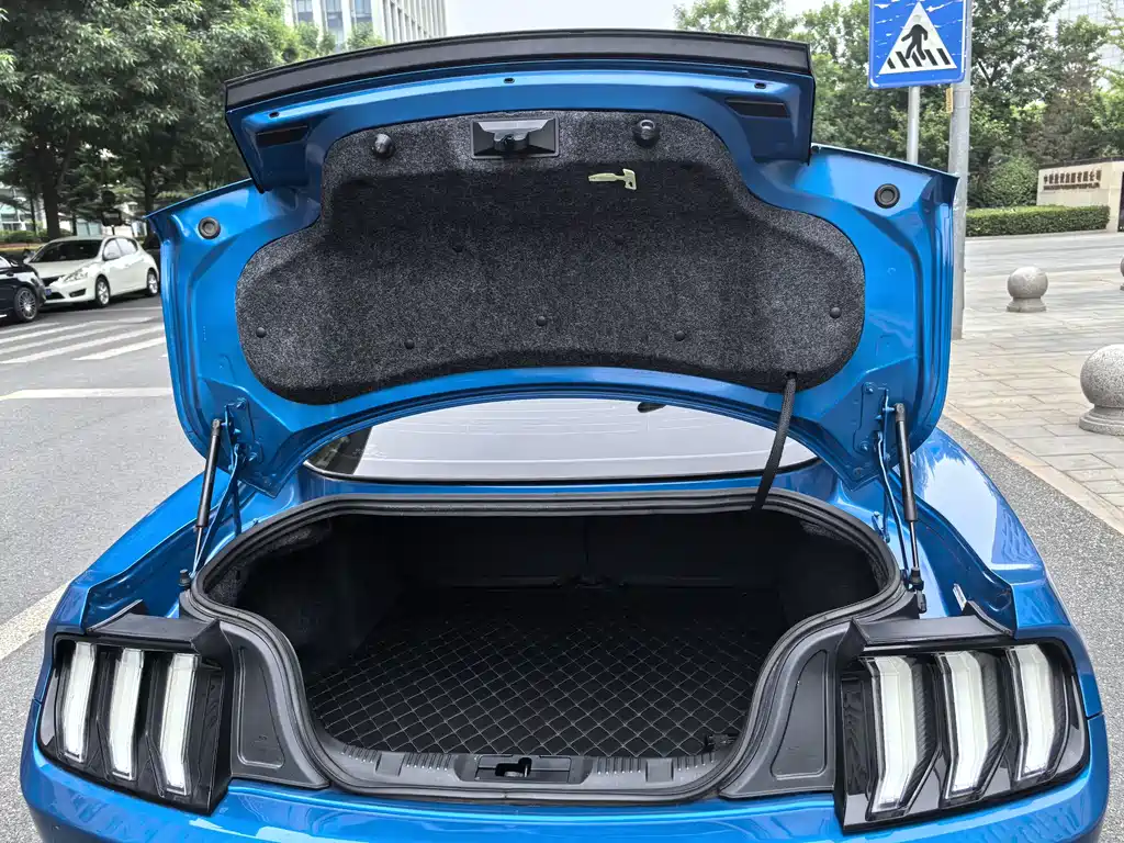 Ford Mustang 2022 — фото 14