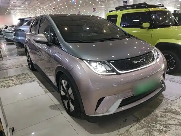 BYD Dolphin 2021