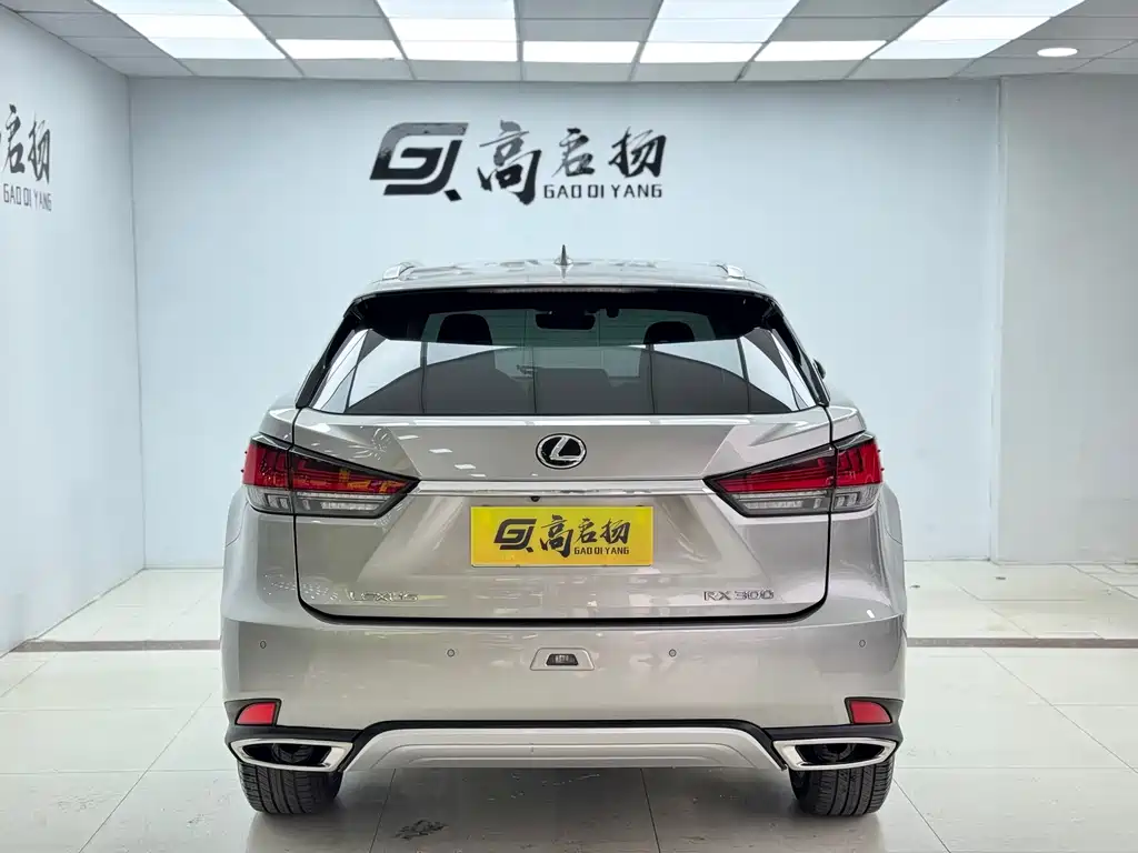 Lexus RX 2019 — фото 27