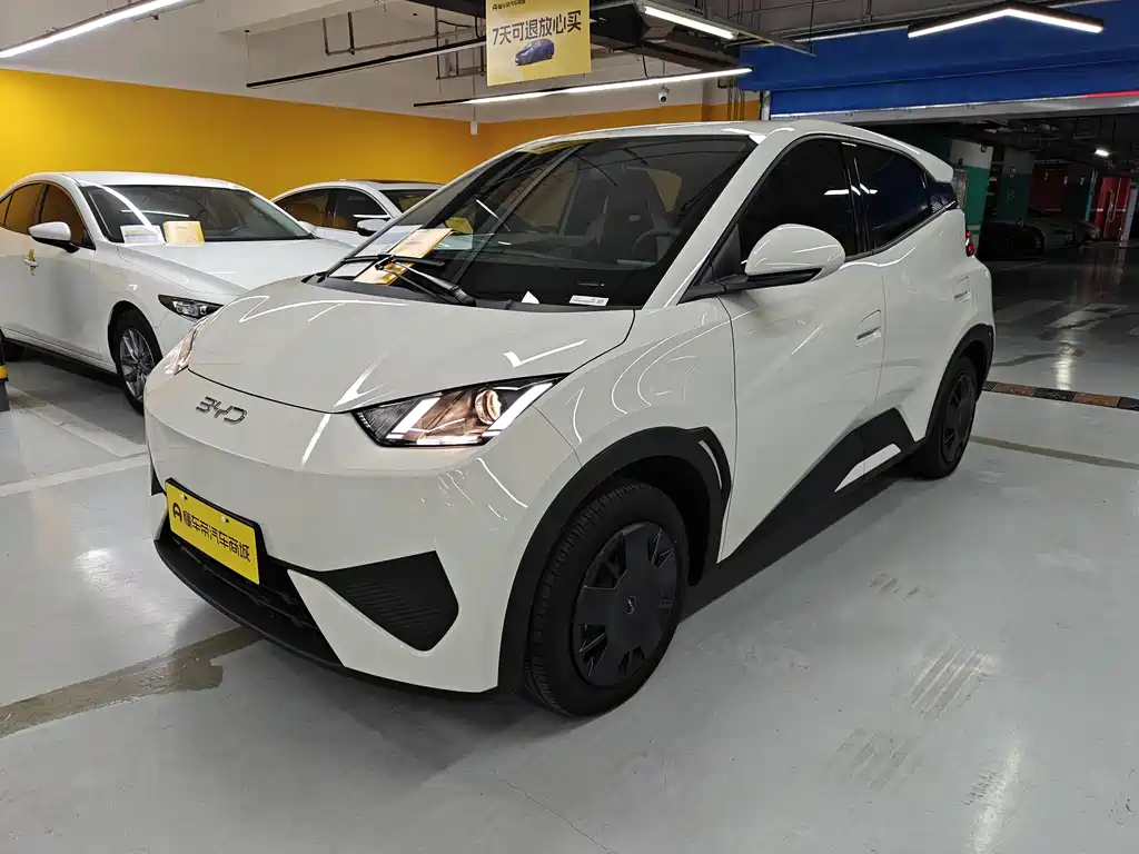BYD Seagull 2026