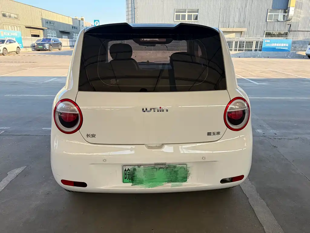 Qiyuan Lumin 2025