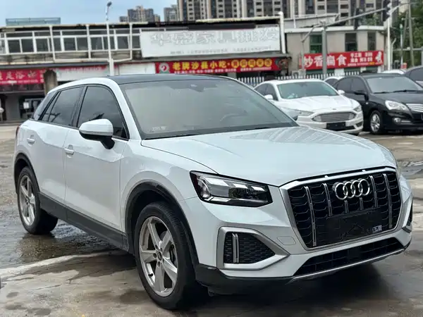 Audi Q2L 2022