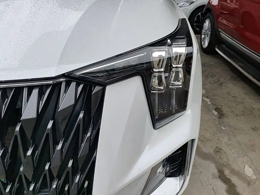 GAC Trumpchi GS8 2023 — фото 24