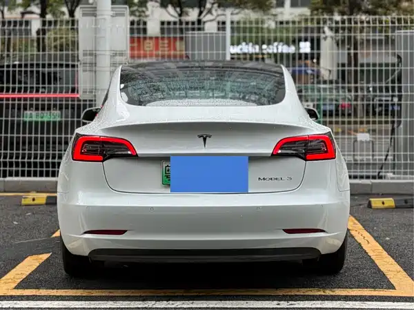 Tesla Model 3 2020