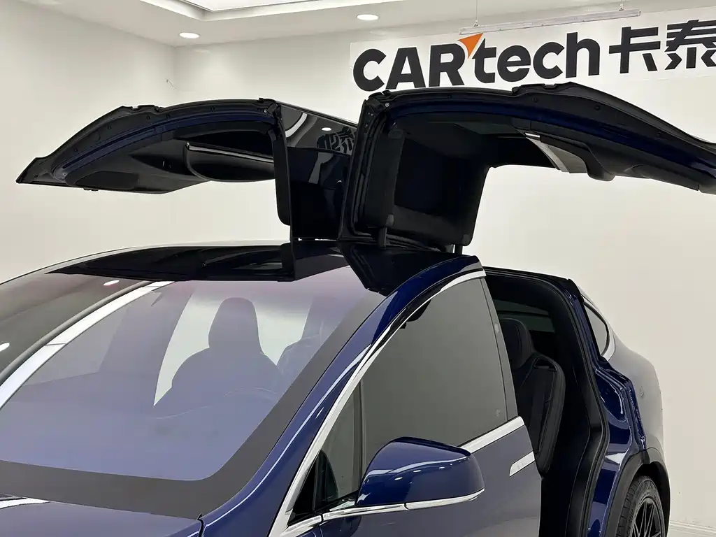 Tesla Model X 2017 — фото 22