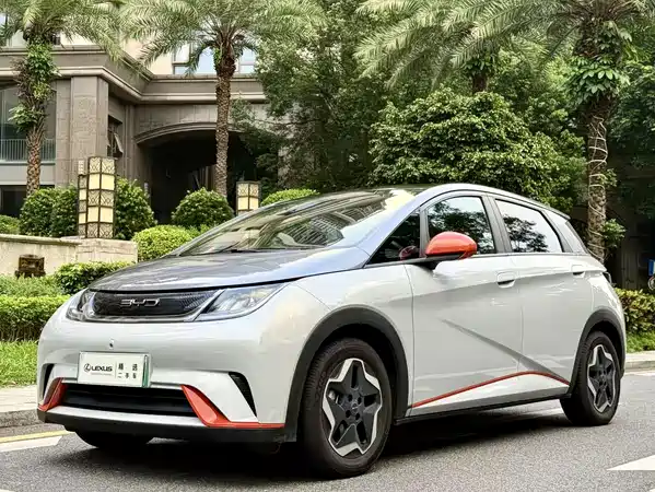 BYD Dolphin 2022