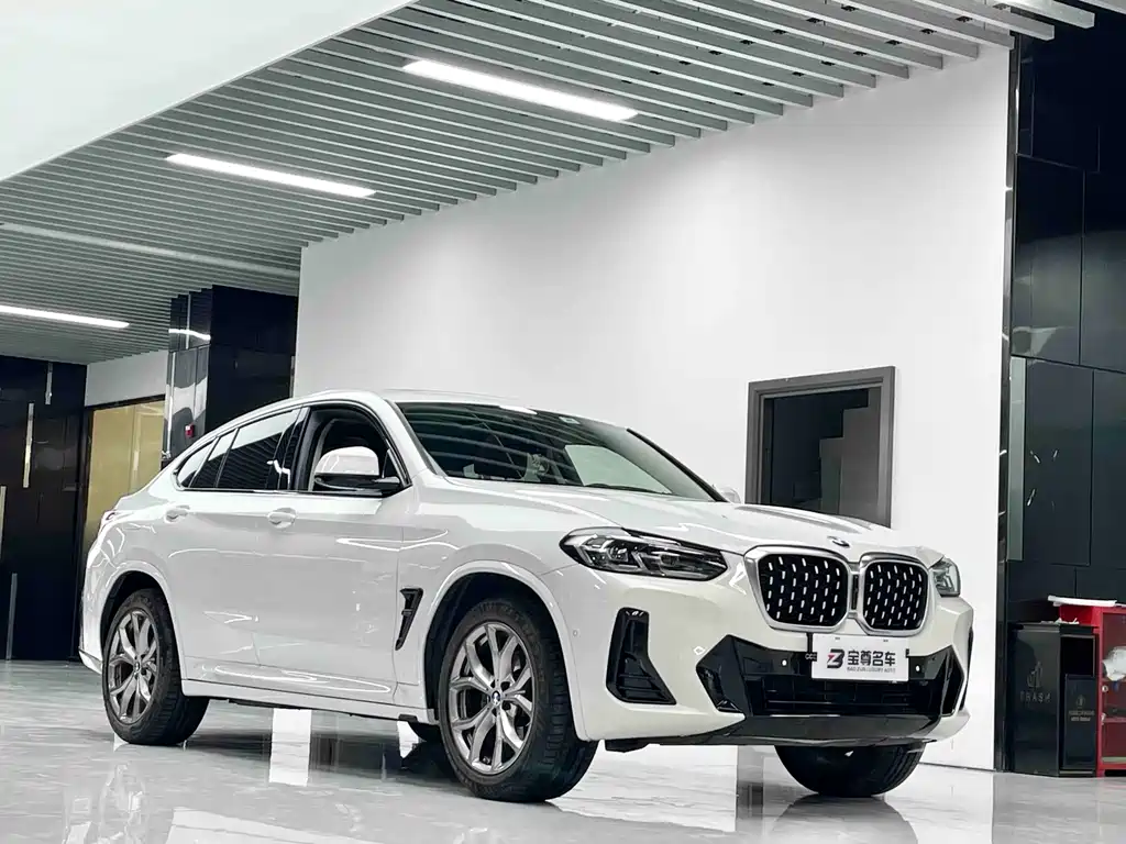 BMW X4 2021 — фото 3