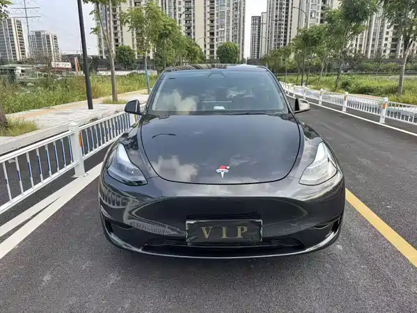 Tesla Model Y 2024
