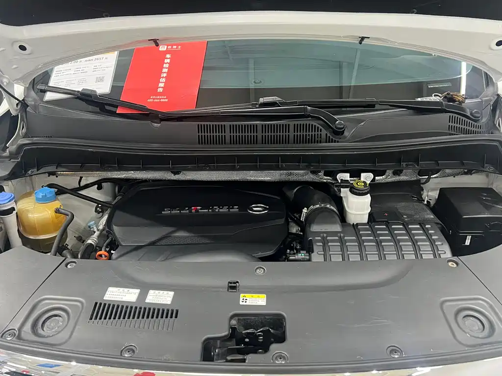 GAC Motor Trumpchi M8 2020 — фото 20
