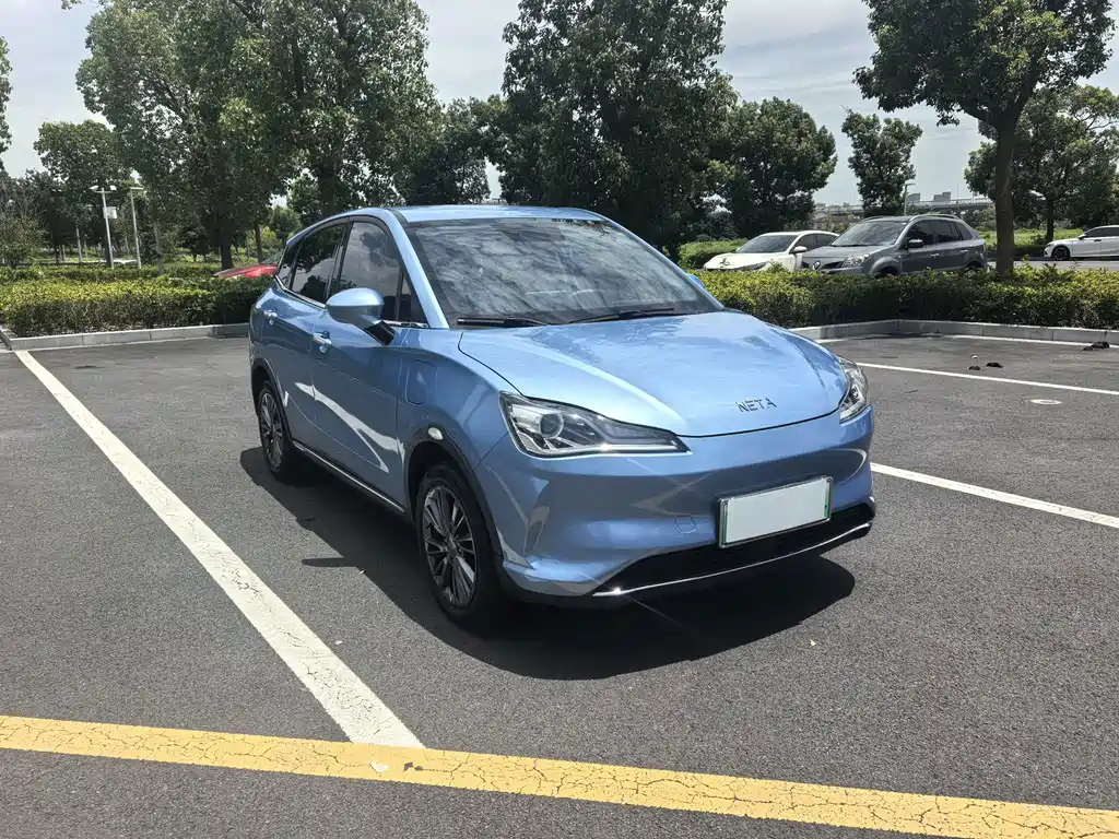 Neta V 2024