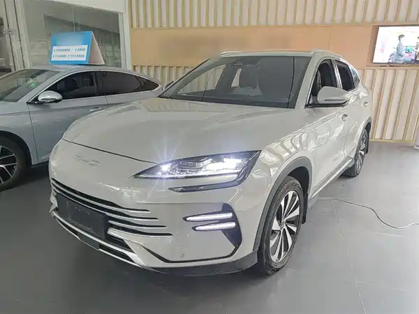 BYD Song PLUS New Energy 2024