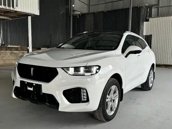 Wey VV5 2019