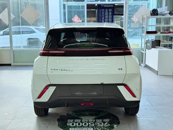 BYD Seagull 2024
